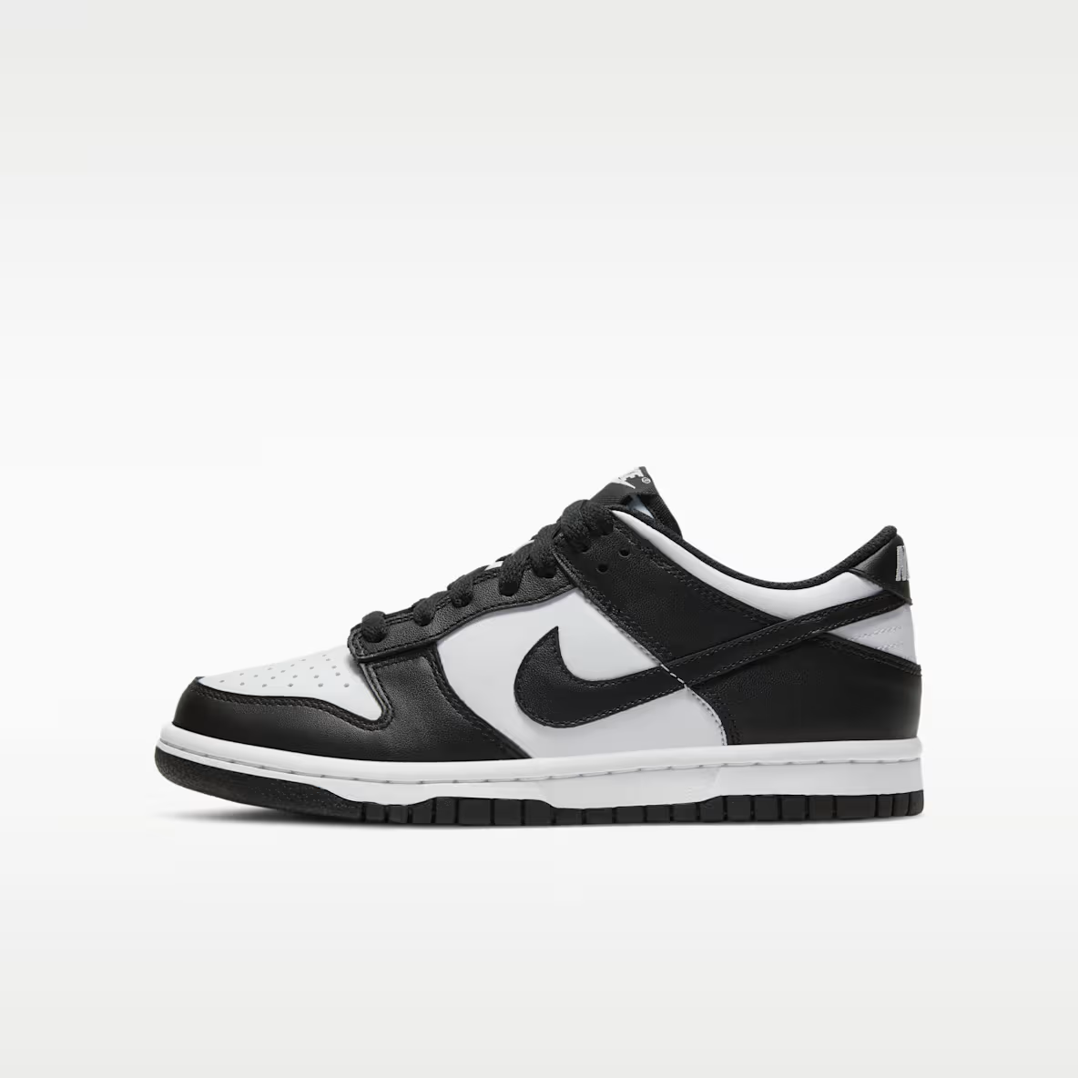 Nike Kicks
